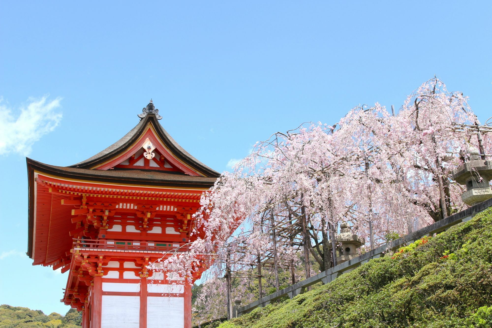 Stay Sakura Kyoto Nijo Seasons Exterior photo