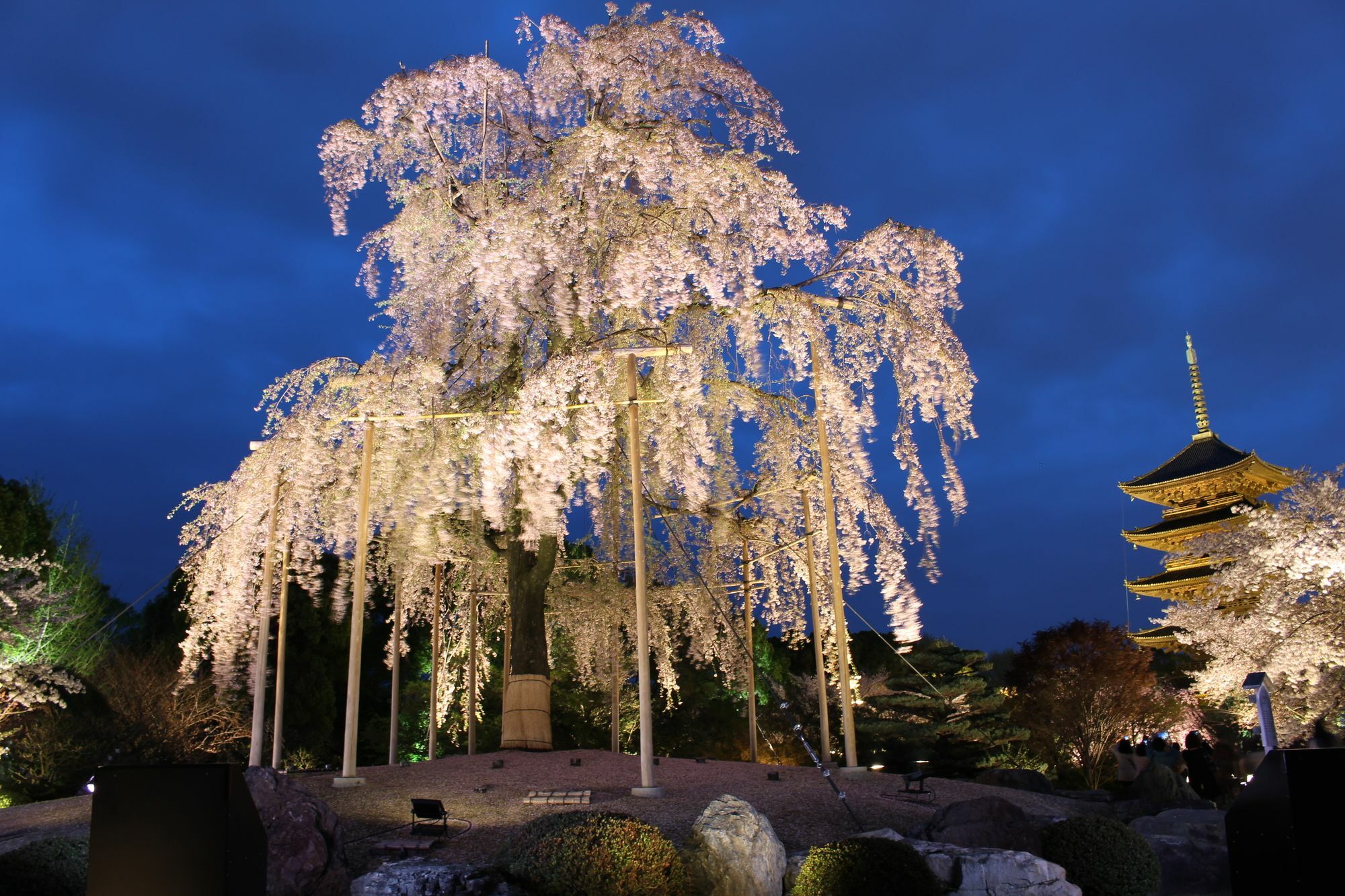 Stay Sakura Kyoto Nijo Seasons Exterior photo